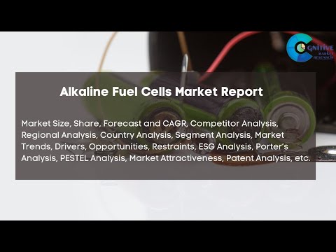 Alkaline Fuel Cells Market Report 2024 | Forecast, Market Size &amp; Growth